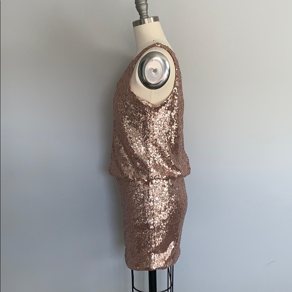 NWT!!! Esley Glam Dress! (Rose Gold) - Picture 2 of 5